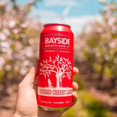 A red can of Orchard Cherry Lager held up in an orchard.